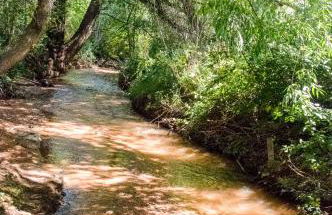 7 Bedroom on the Side of Pikes Peak on a Mountain Stream - Foto 60