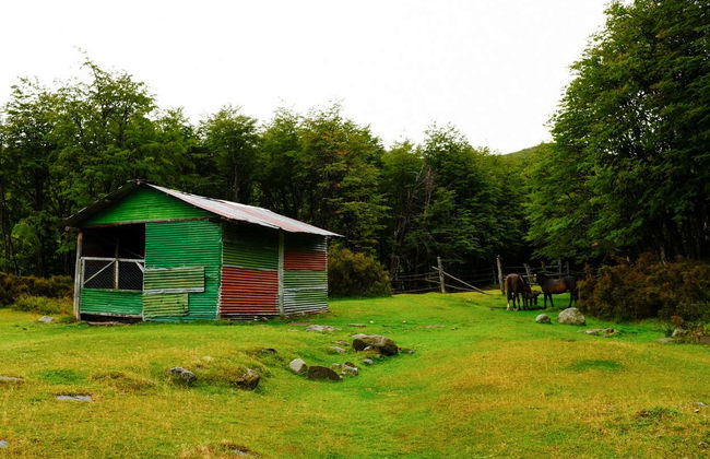 Excursion au Lac del Desierto + Trek sur le glacier Vespignani - Photo 6