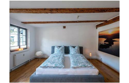 Nachtschwärmer - Foto 6