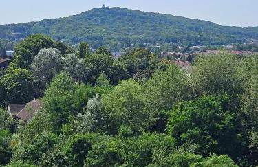 Studio La Belle Vue -Proche Hyper Centre-ville- - Foto 10