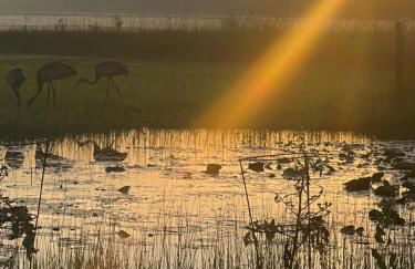 Elysium III - Foto 11