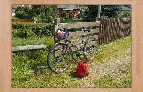 LES HORTENSIAS - Foto 27