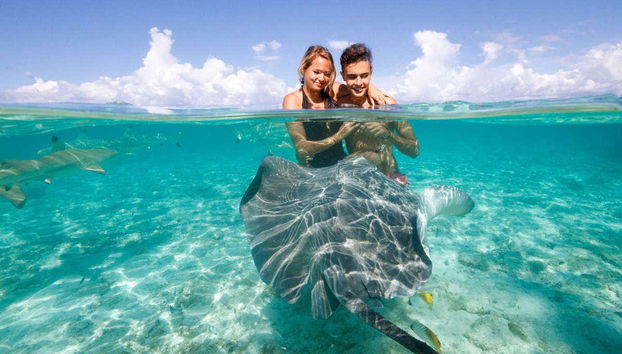Touching a manta ray