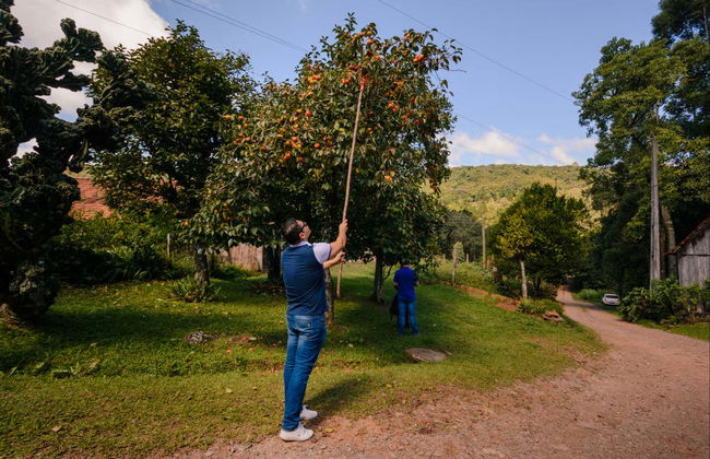 Gramado + Linha Nova Italian Immigration Tour - Photo 9