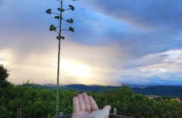 Chalé Formoso - Chalé Romântico com Hidromassagem - Foto 48