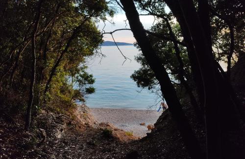 House Tuna - Foto 28