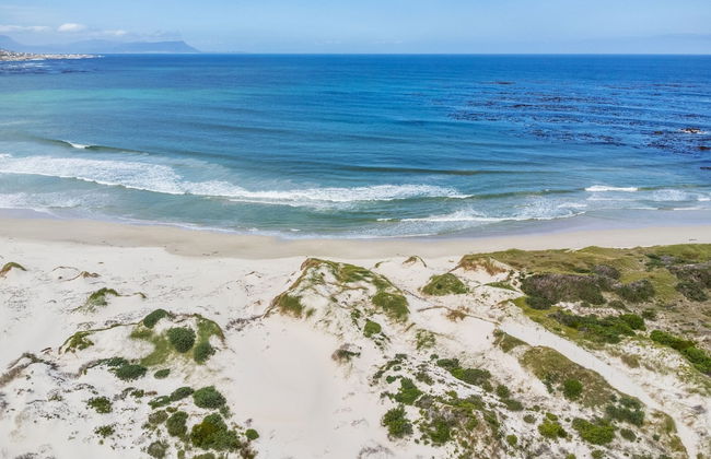 8 on Nivenia - Foto 14