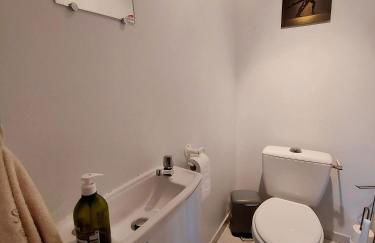 La Boutruchère - Photo 25