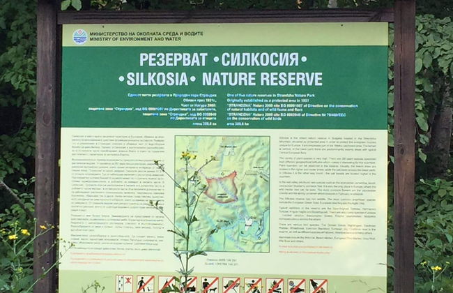 Lovely 4-bed House in Kosti - Foto 25