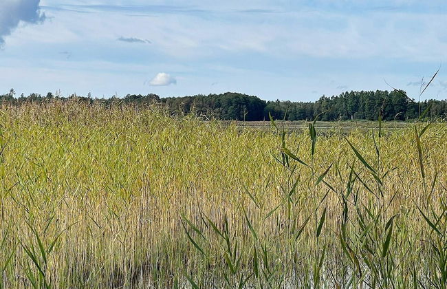 4 Star Holiday Home in Tavelsas - Foto 12