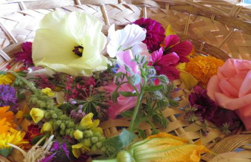 Gîte des Lilas - Foto 63