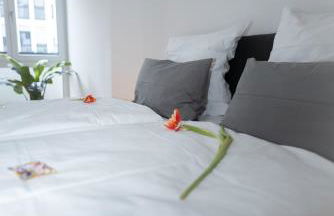 Großes zentrales Apartment Terrasse 2 Bäder - Foto 38