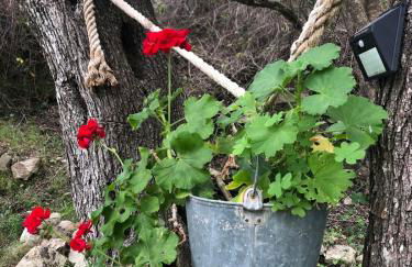 Apagio Othonoi Car Included - Foto 38