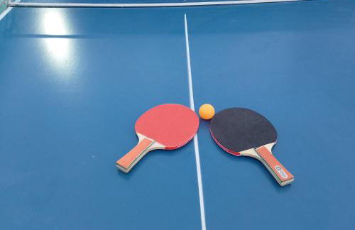 Chácara Cantinho dos Sonhos - Photo 54