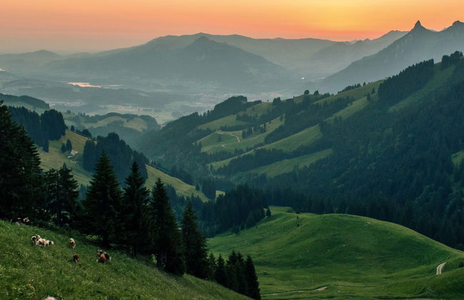 Gruyères Tour - Foto 1