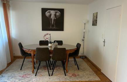 Appartement près de Paris et Disneyland - Foto 7
