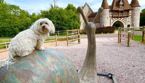 Le relais du Château - Foto 5