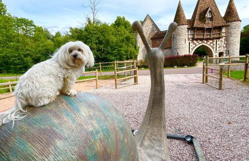 Le relais du Château - Foto 5
