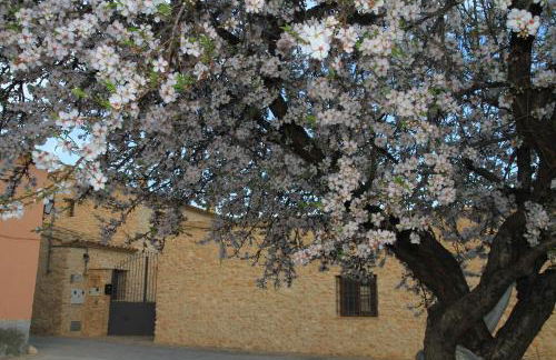 Alojamientos Rurales Cortijo Las Golondrinas - Foto 9