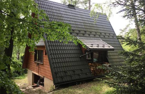 Domek w Lesie - Foto 36