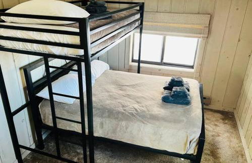 6BD 3BA - Mount Snow VT - Ski-Back Trail - Shuttle - Foto 14