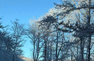 A Casetta "tra natura e pace" - Foto 14