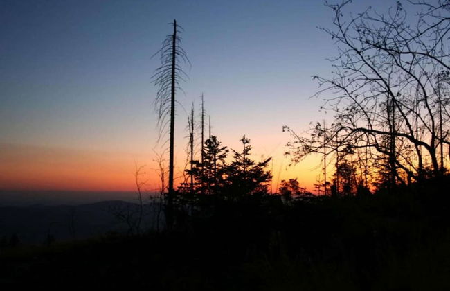 Welcoming Chalet Near Forest in Rohrnbach - Foto 79
