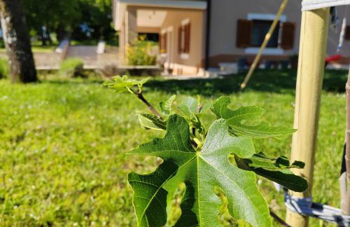 Honey apartment - Foto 26