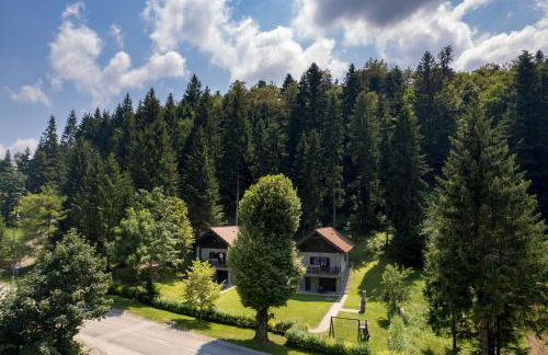 Gorska bajka - Smreka, kuća za odmor i wellness - Foto 26