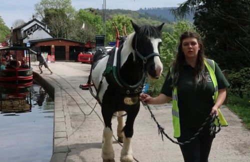 Tower Farm Holidays - Photo 53