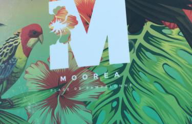 Villa provençale, Golfe Saint Tropez, Climatisée 12 pers, 4 suites, Piscine chauffée, Hammam, Spa, Billard, Pétanque, Wifi professionnel haut débit - Foto 78