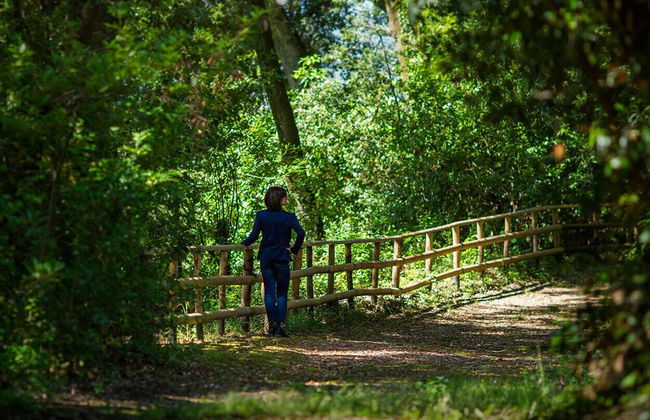 Spectacular Views - Villa Guinigi - Lucca Area - Foto 28