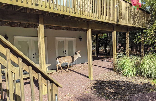 Mews Mountain House by Avantstay Walk to Beach, Hot Tub, Game Room - Foto 60