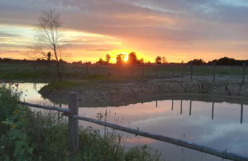 Pensjonat Przy Stajni - Foto 42