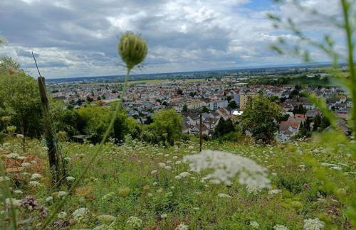 Direkt am Wald mit Panoramablick bis zur Pfalz - Foto 20