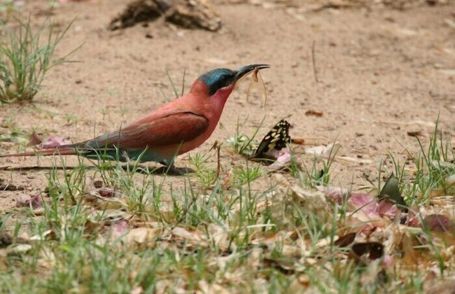 Delta Belle Boathouse - Foto 18