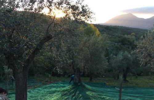 Dimorra Country House - Foto 30