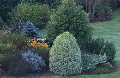 Logis de Ponthus - Foto 27