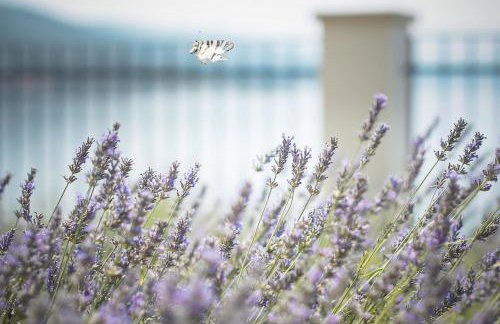 Beachfront apartment with pool, panoramic sea view - by Traveler tourist agency Krk - ID 2390 - Foto 42