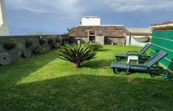 Flor da Natureza - Flor - Photo 11