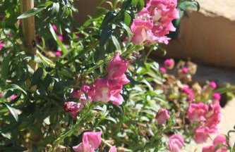 Apartments with a parking space Ugljan - 8416 - Foto 15