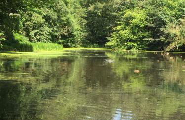 Little Pinfold Cottage - Foto 30