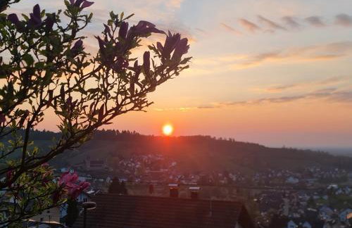 Kappler Nest - Foto 34