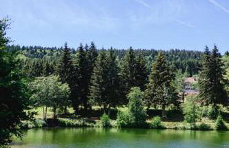 Ferienwohnung "Am Skilift" - Foto 36