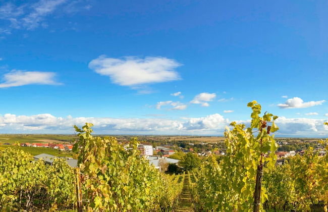 Holiday Apartment Faller-greiner - Photo 16