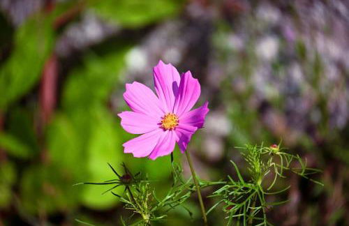 La Breteche-Le château et les dépendances - Photo 51