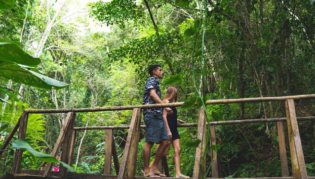 Excursion au Parc écologique de Hagia Sofia - Photo 4, Découverte de la jungle