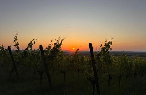 Apartment Panorama 180- by Interhome - Foto 1