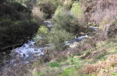 Casa do Volfrâmio - Foto 47