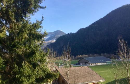 Le chalet de Bernoline vaste appartement tout confort - Foto 21